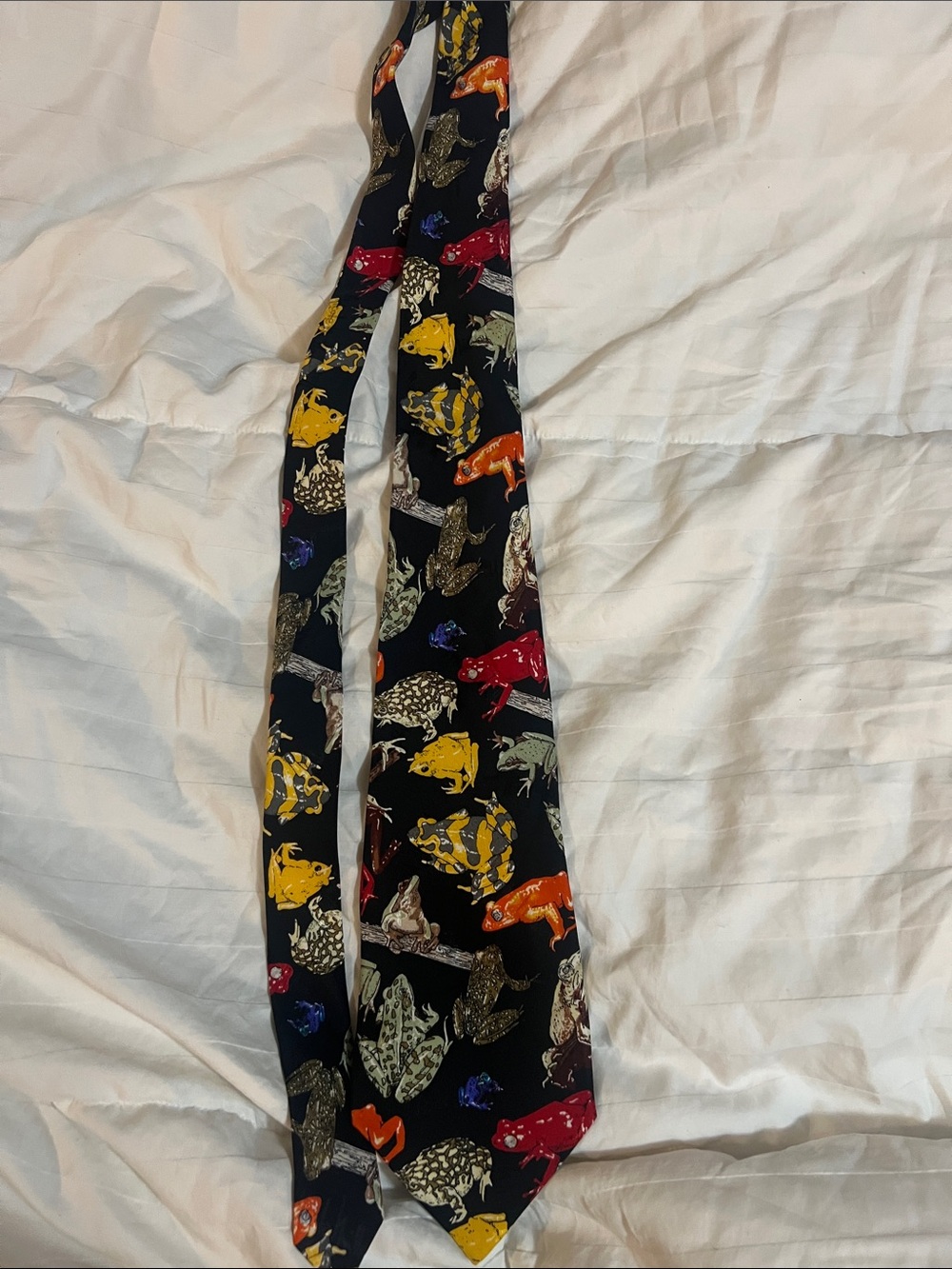 Nicole Miller vintage 1997 Frog Pattern Black Silk Tie with Colorful Frogs (#20)